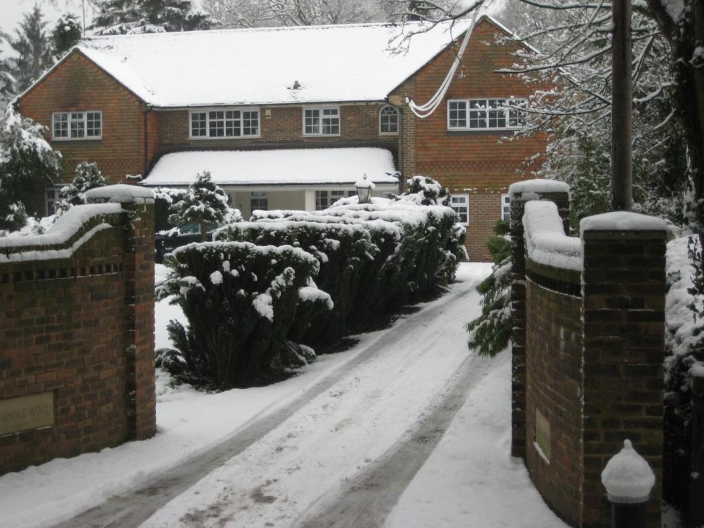 Tanglewood Gatwick Bed & Breakfast Crawley  Exterior photo